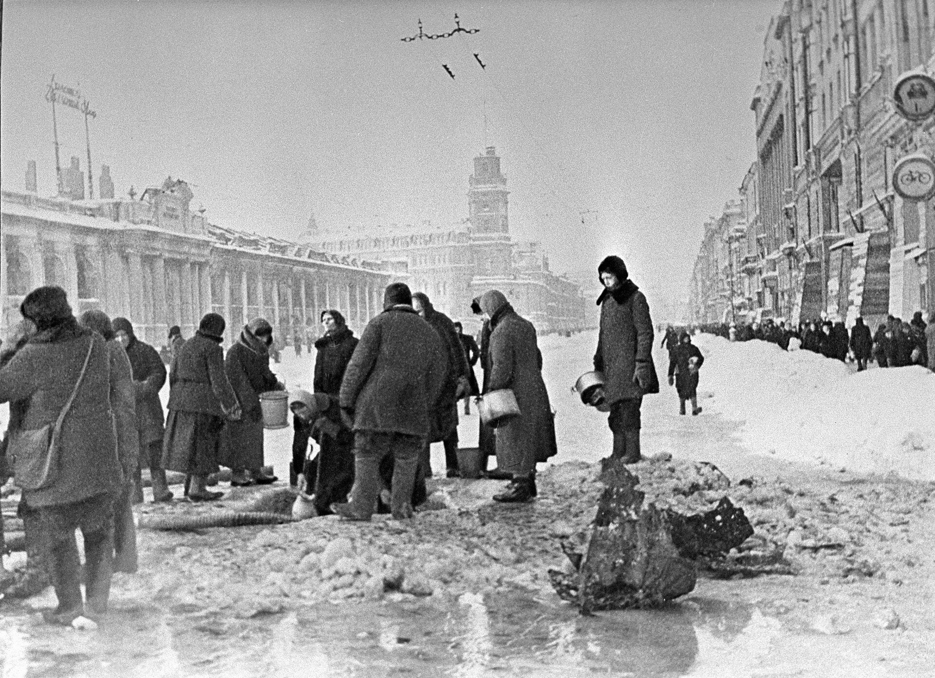 Ярославские коты едут в Ленинград